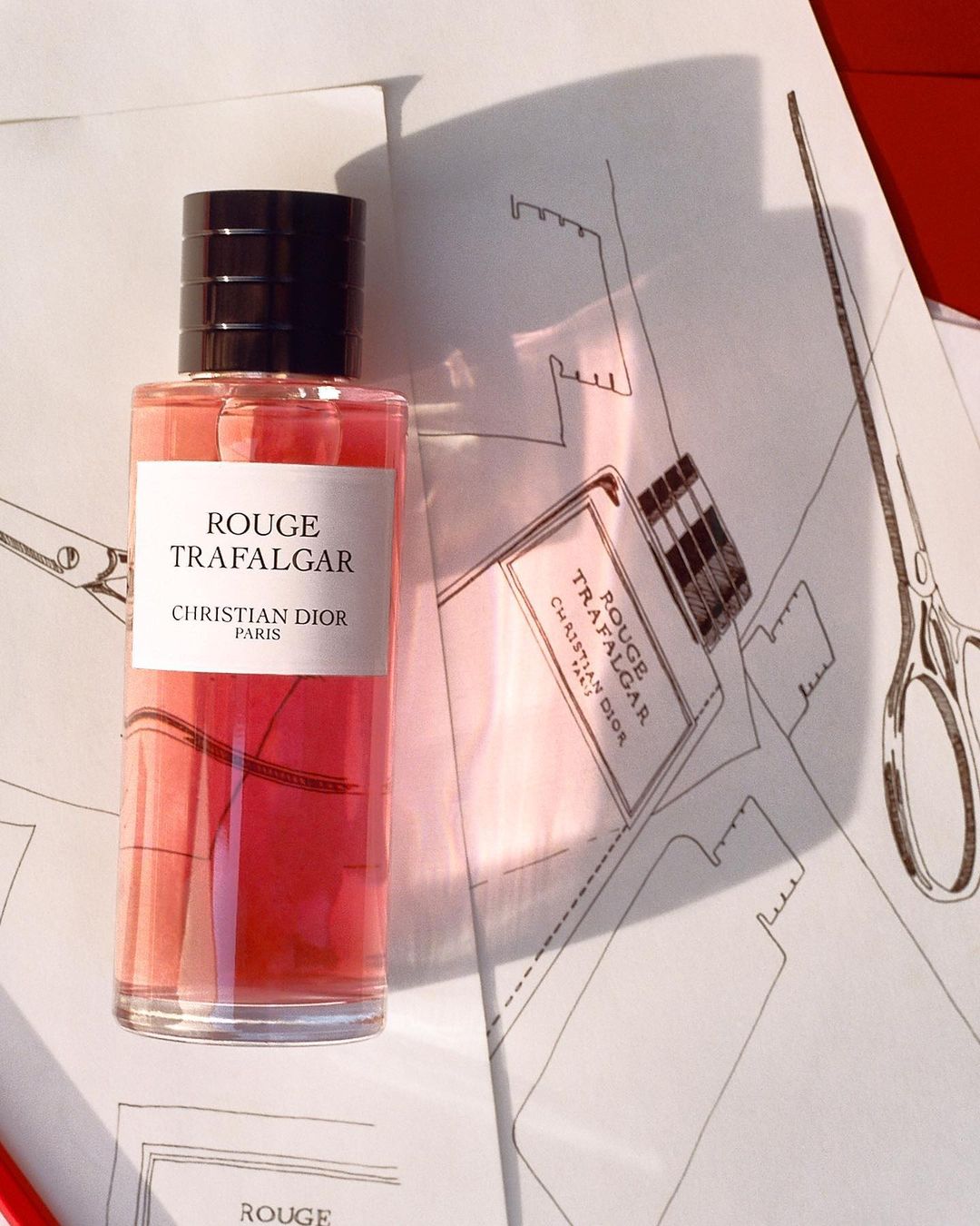 Unisex Fragrances You'll Both Love ...