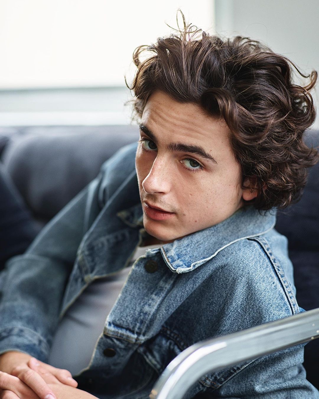 20 Facts About Timothe Chalamet Every Fan Should Know 
