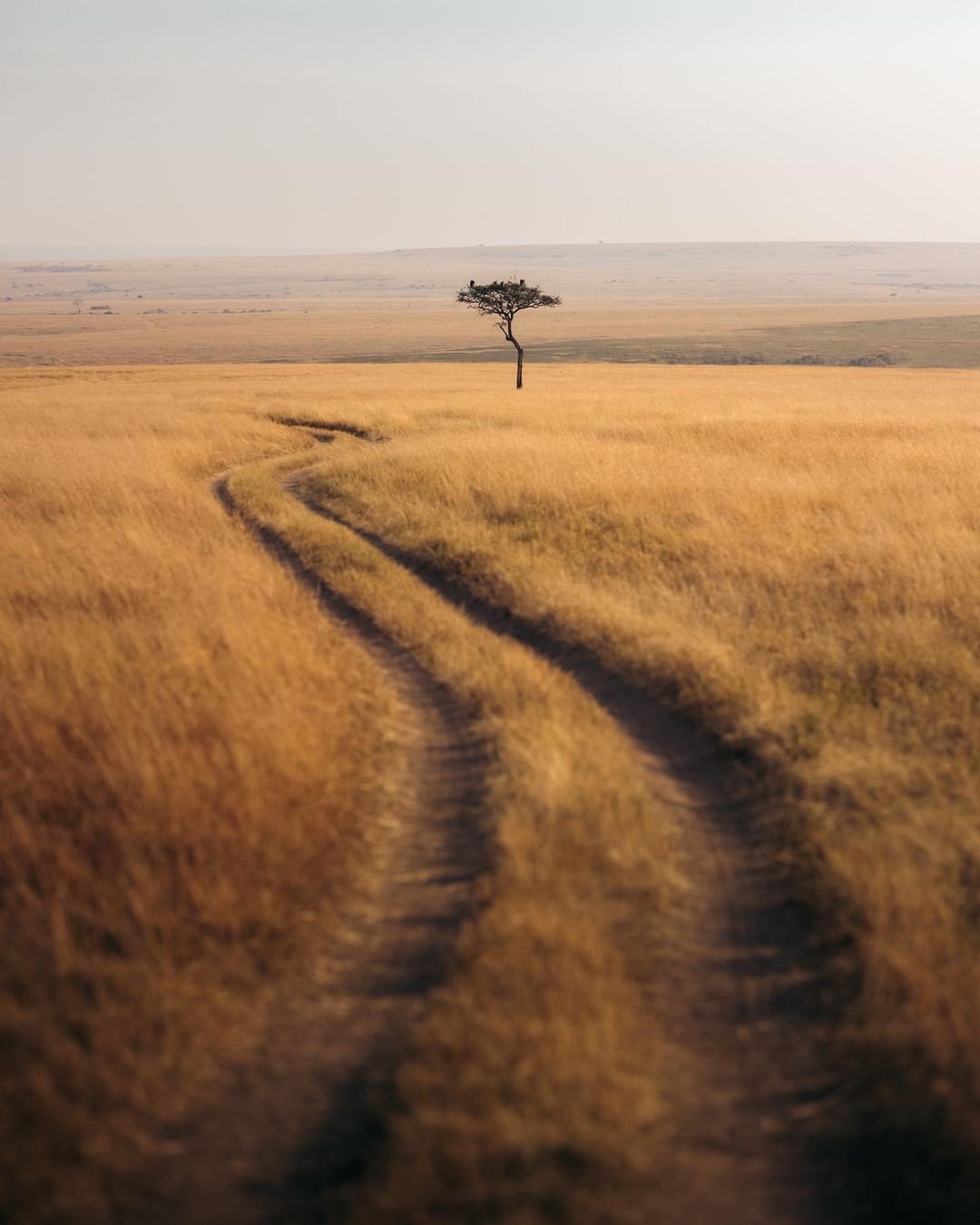 15 Amazing Adventures in Africa - One Woman's Travels from Cape Town to Kilimanjaro ...
