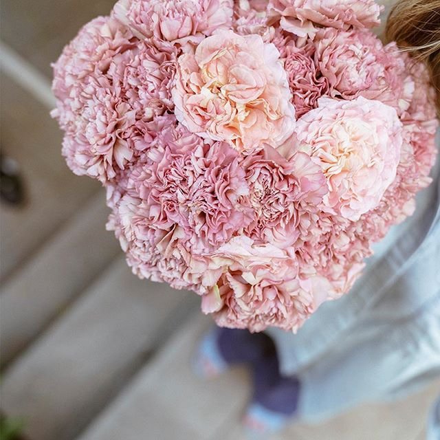 34 of Today's beyond Gorgeous Flowers Inspo for Girls Looking to Add Something to Their Home ...