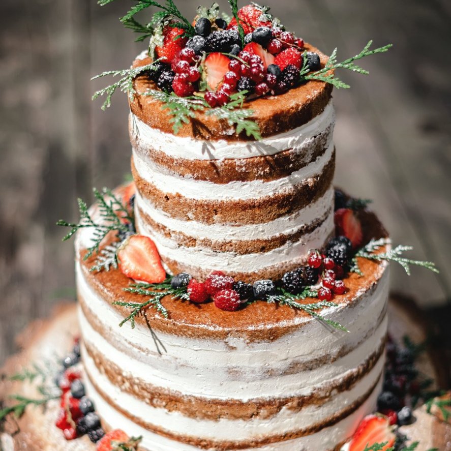 Rustic Naked Cake