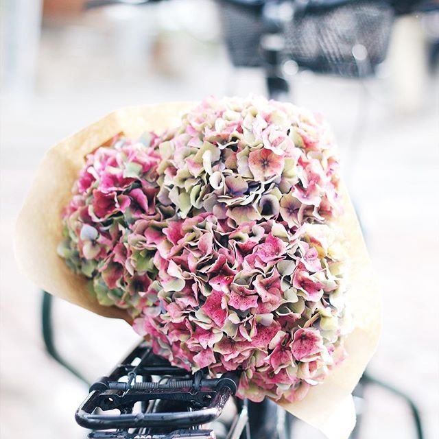 32 of Today's Magical Flower Inspo to Brighten Every Girls' Day ...