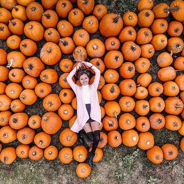 Halloween Hacks That'll Make the Season Special  ...