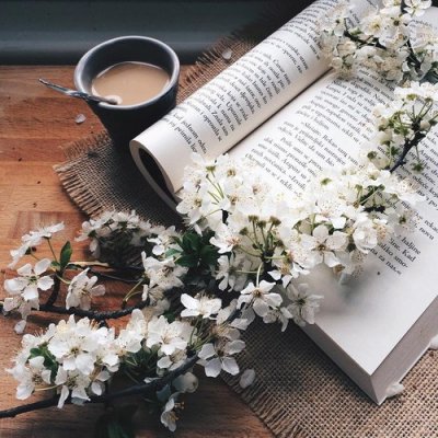 SciFi and Fantasy Books Set in Unusual Time Periods for Girls Who like the Extraordinary ...