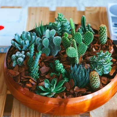 32 Mind BlowingDIY Bowls for Crafty Girls ...