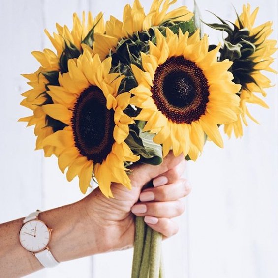 34 of Today's Astounding Flowers Inspo for Girls Looking to Add Something to Their Home ...