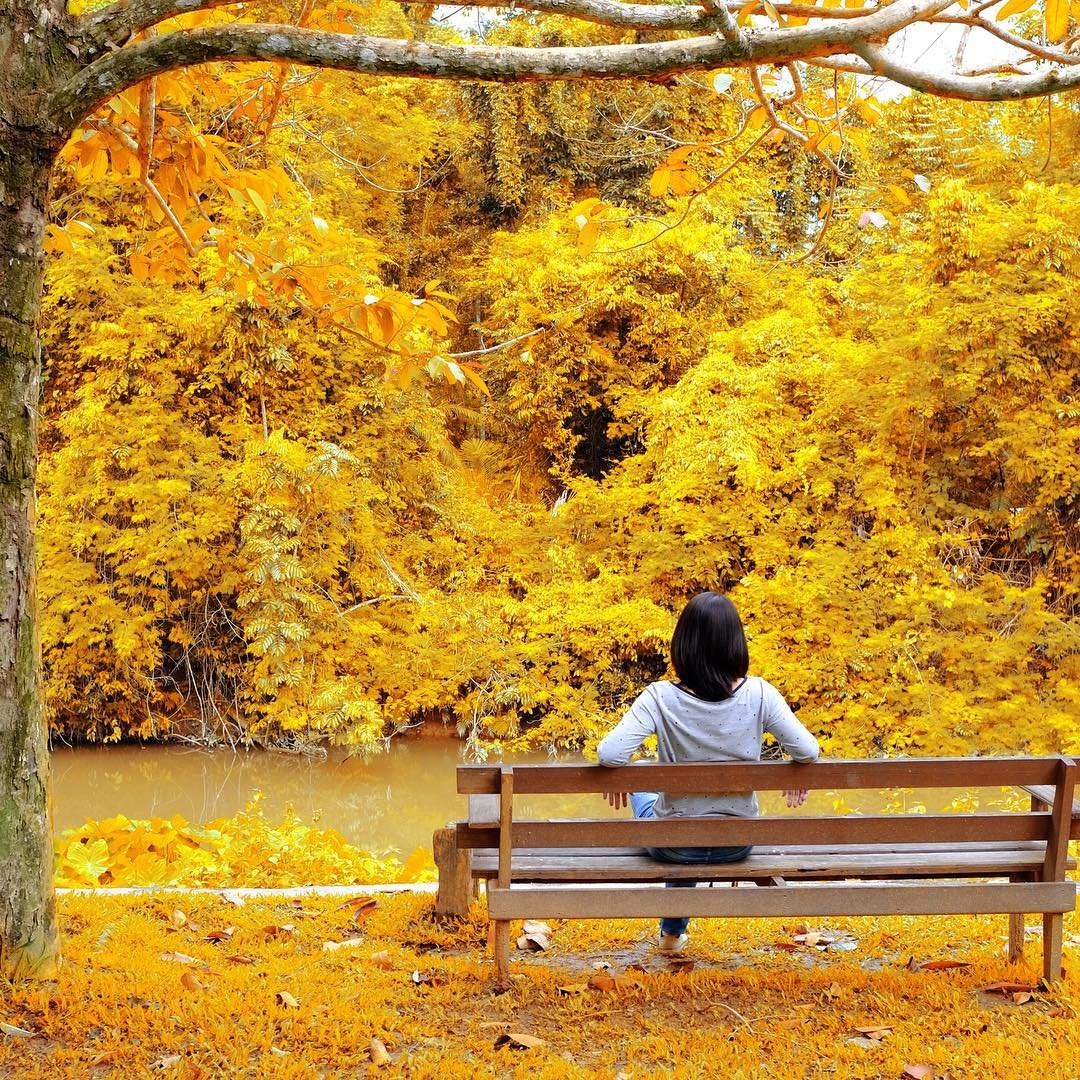 7 Reasons Fall is a Great Season for a Vacation ...