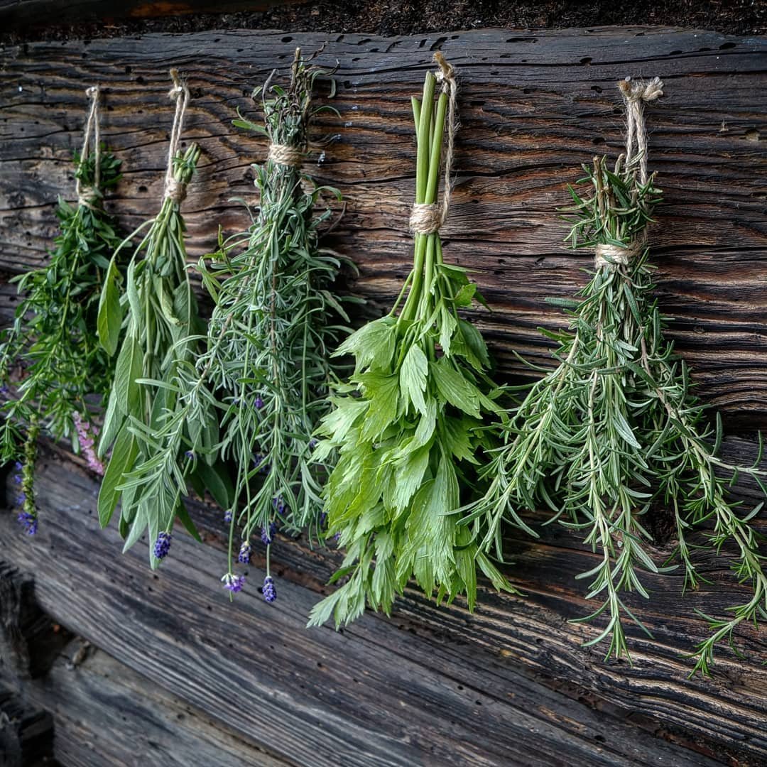 Wonderful Herbs to Eat That Combat Acne ...