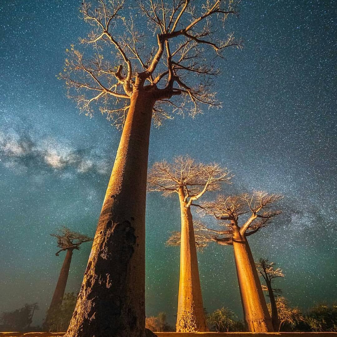 Madagascar: A Country Full Of Breathtaking Nature