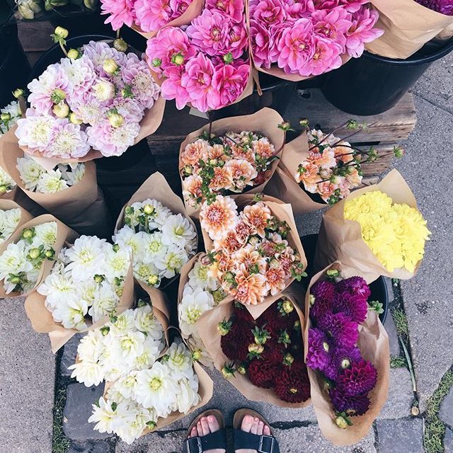 34 of Today's Magical Flowers Inspo for Girls Who Love Having Flowers around ...