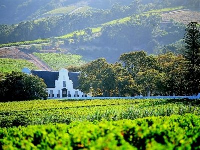 7 Wine Countries to Put on Your Wine Bucket List ...