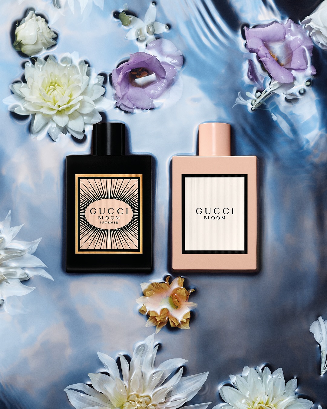Explore the Alluring Mysteries of Gucci Bloom Fragrances...