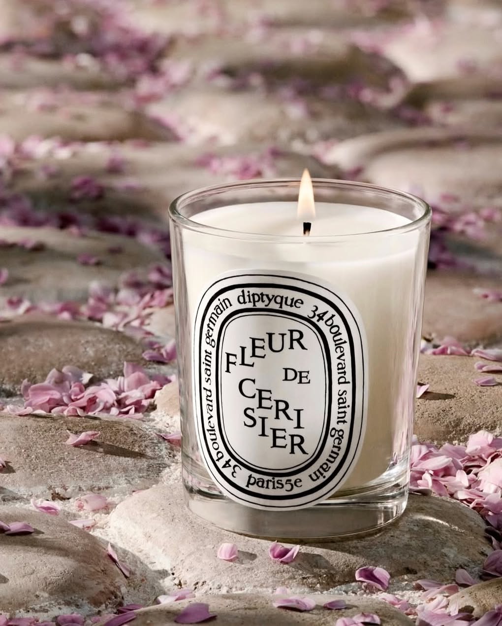 How Violette Candles Can Transform Your Space...