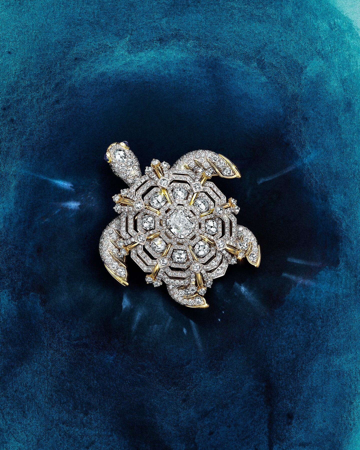 Discover the magic of Tiffany  Co.'s Sea of Wonder Collection and...  