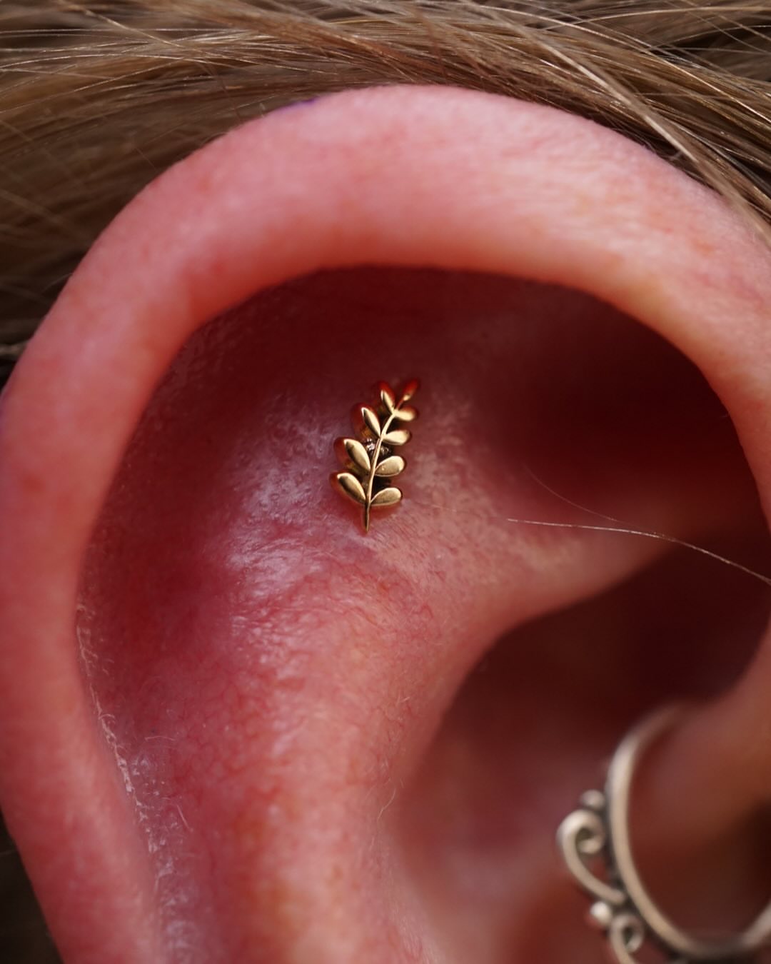 What Makes the "Grow" Piercing So Unique...  