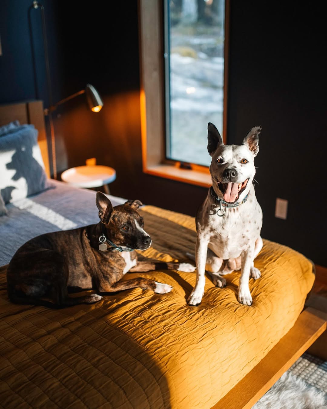 Where Cooking and Laughter Meet